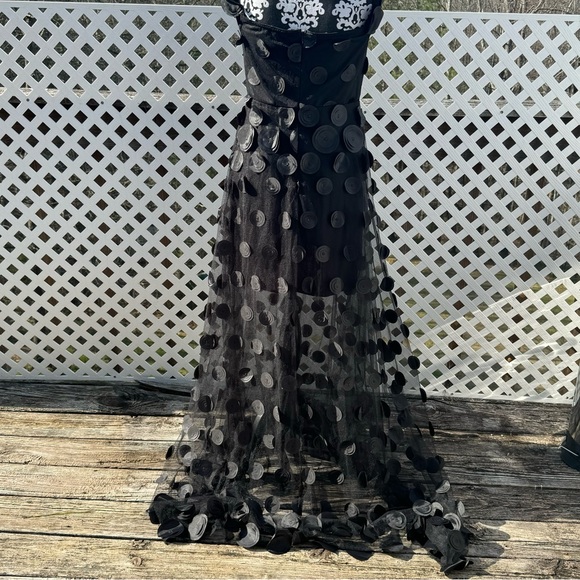 Blithe LA Polka Dot Sheer Dress - Picture 4 of 4